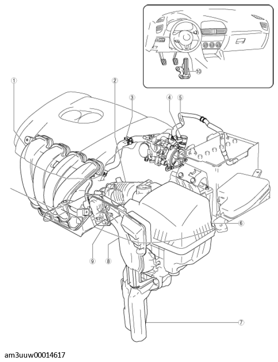 G11549856