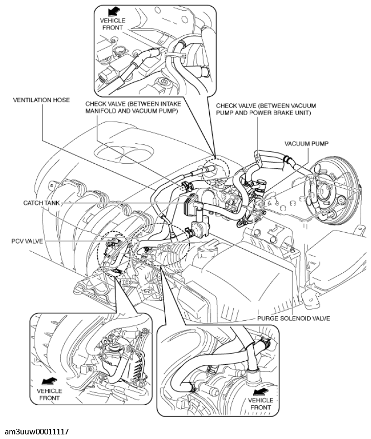 G11549872