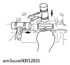 G11549887