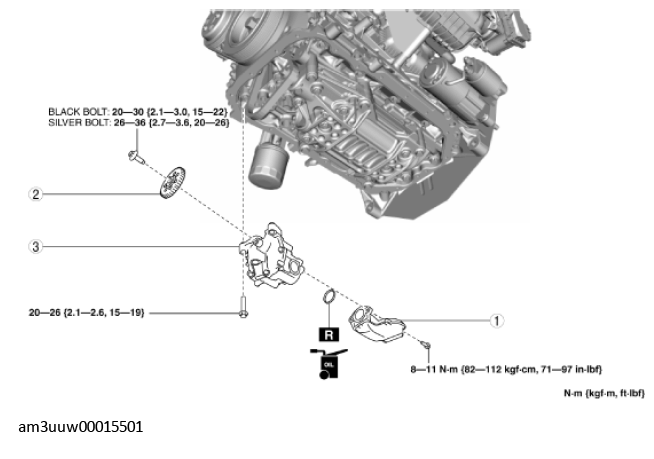G11549898