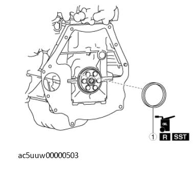 G11550161