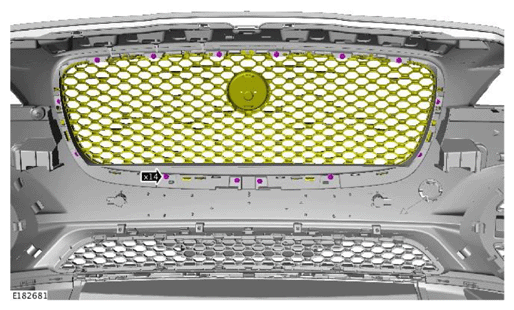 G11561160