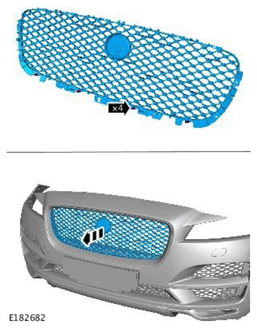 G11561161