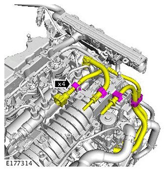 G11562633