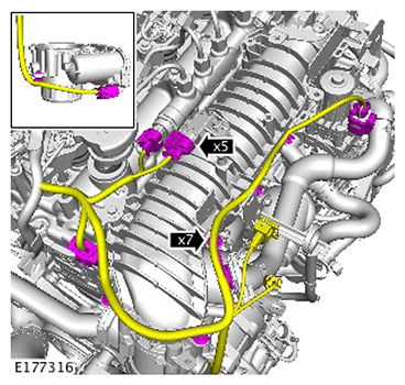 G11562634