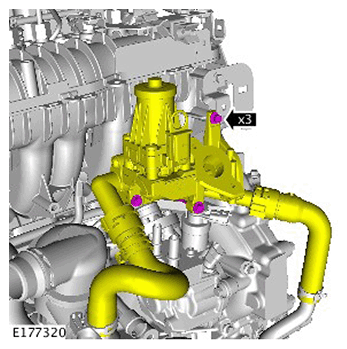 G11562642