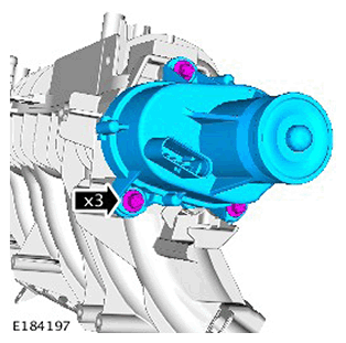 G11562650