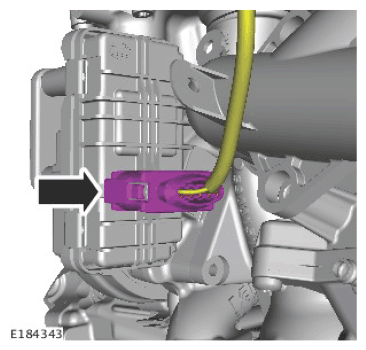 G11563152