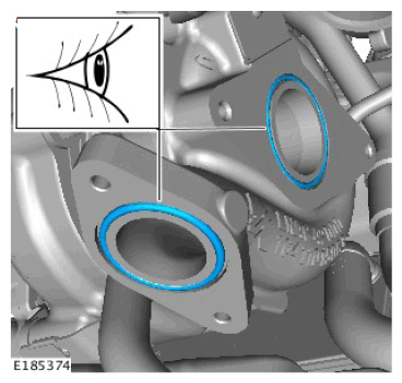 G11563155