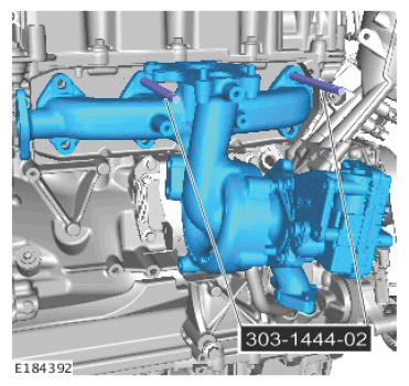 G11563164