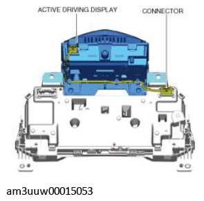 G11564699