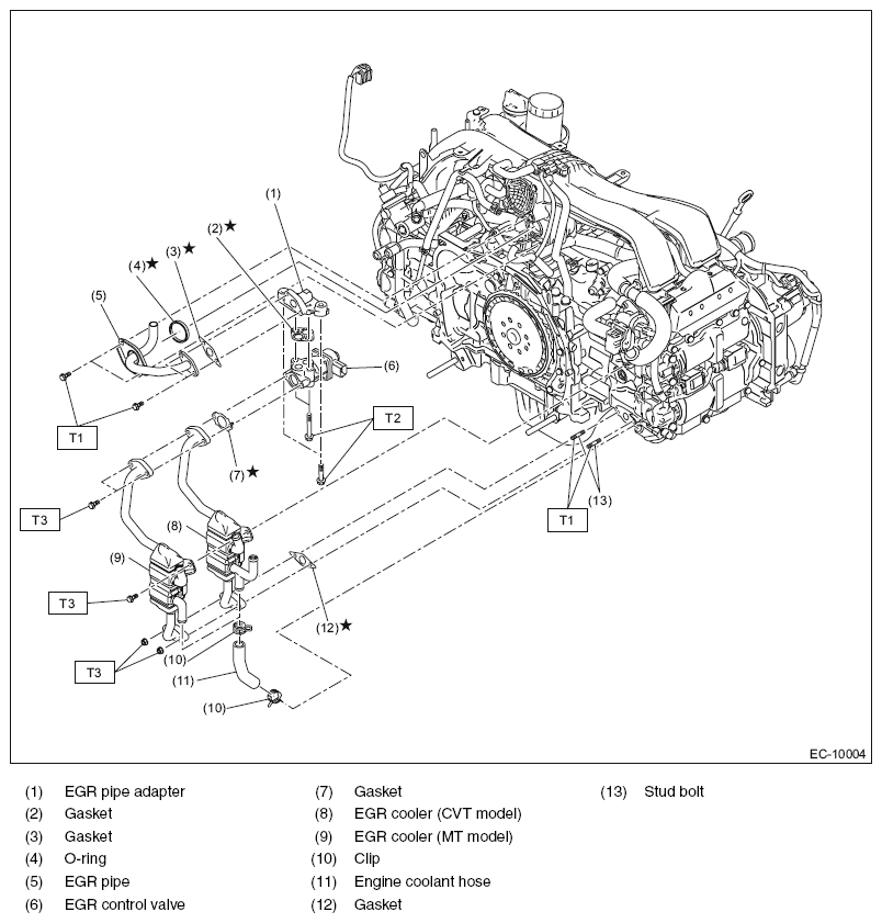G11566126