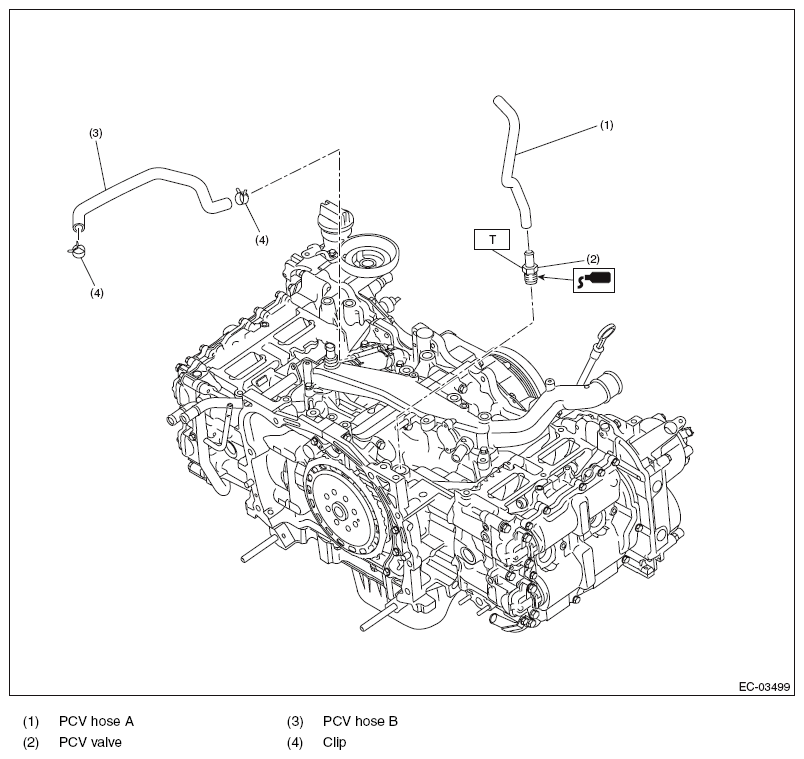 G11566128