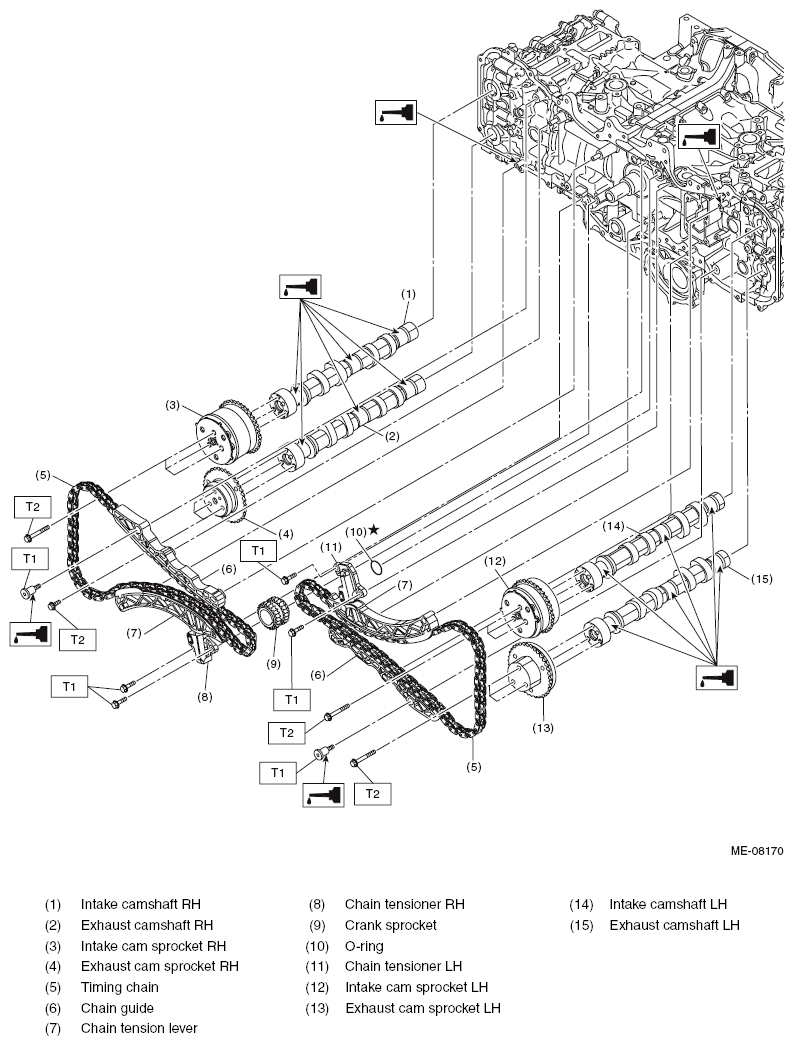 G11566254