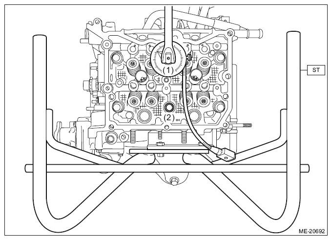 G11566541