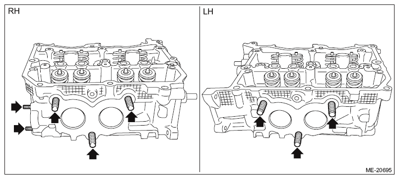 G11566544