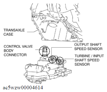 G11574784