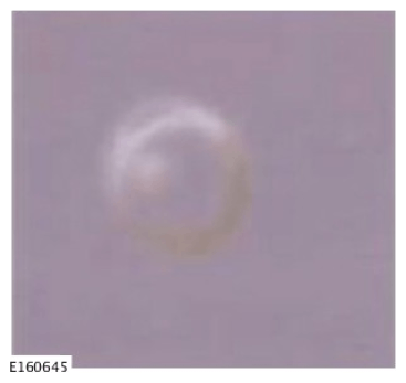 G11585287