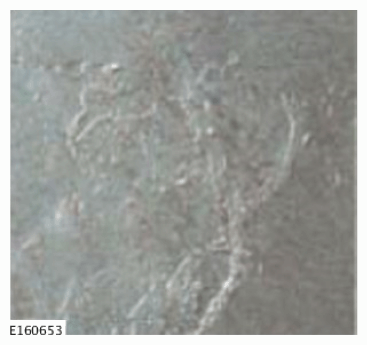 G11585295