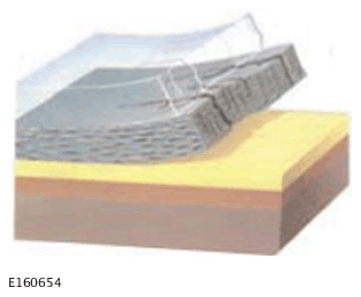 G11585296