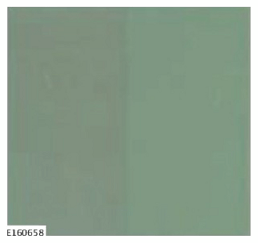 G11585300