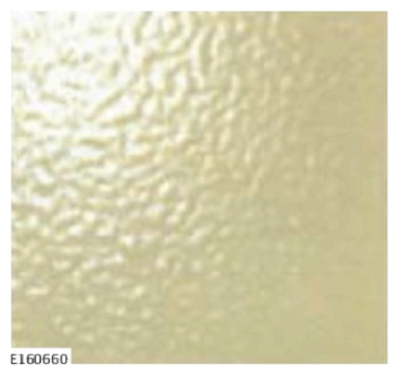 G11585302
