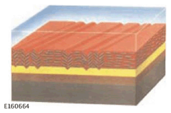 G11585306