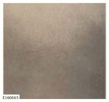 G11585307