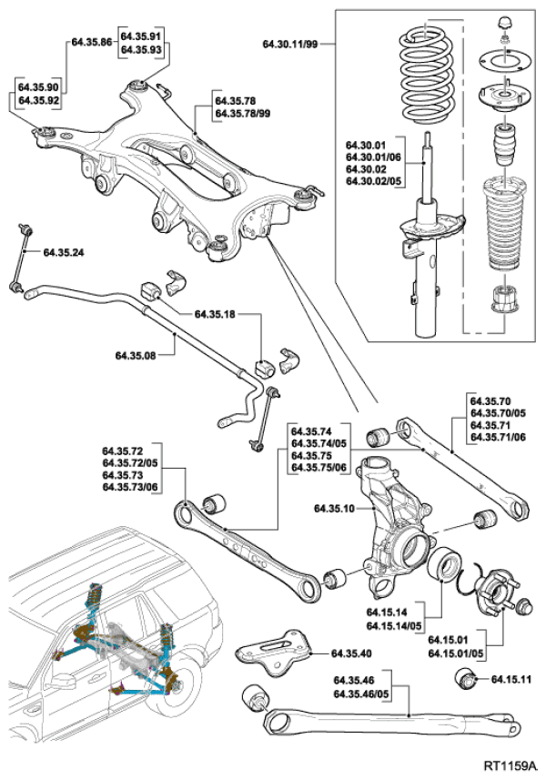 G11585398