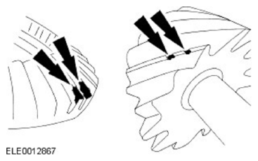 G11585525
