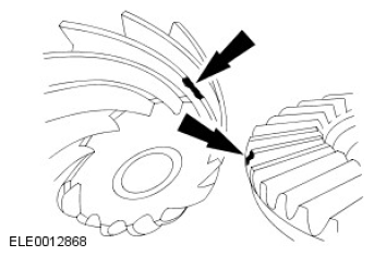 G11585526