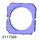 G11585527