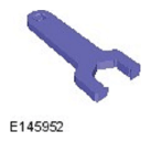 G11585529