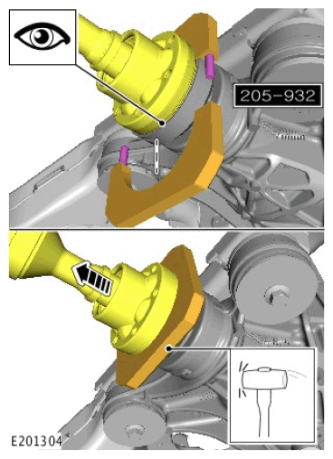 G11585538