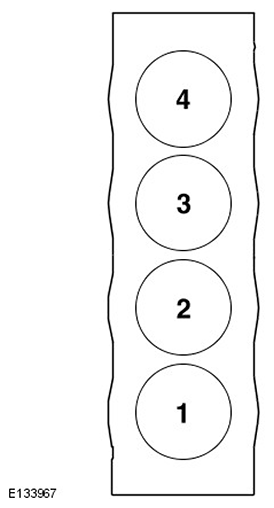 G11587198