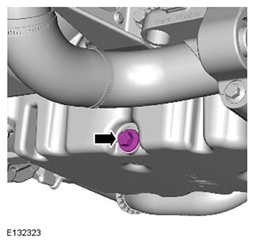 G11587232