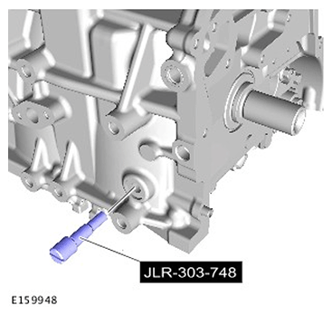 G11587244