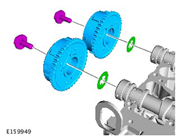 G11587255