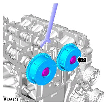 G11587256