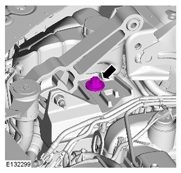 G11587379