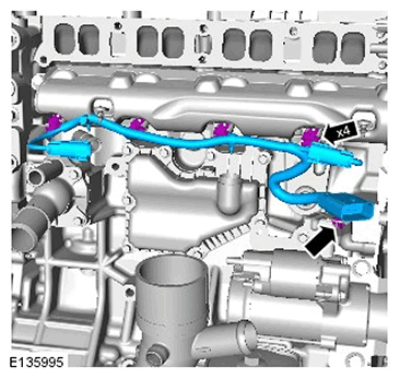 G11587638