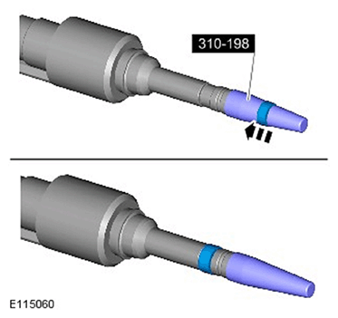 G11587672