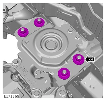 G11587852