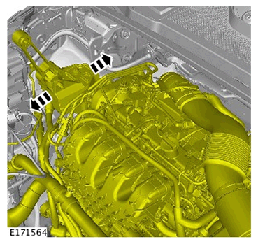 G11587858