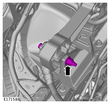G11587861
