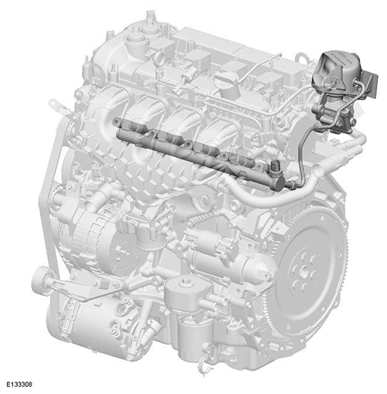 G11588308