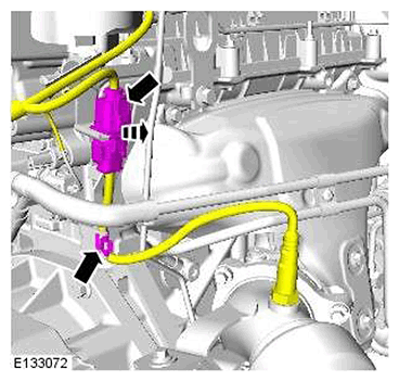 G11588365