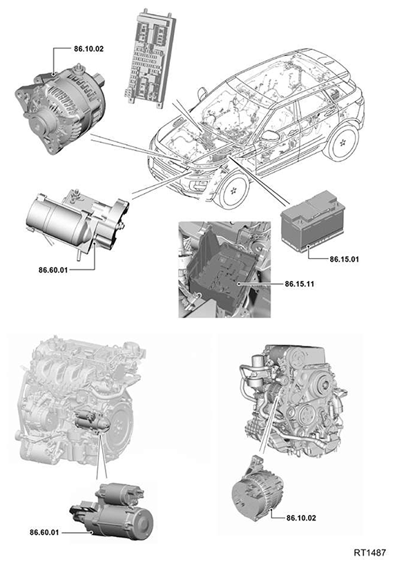 G11588490