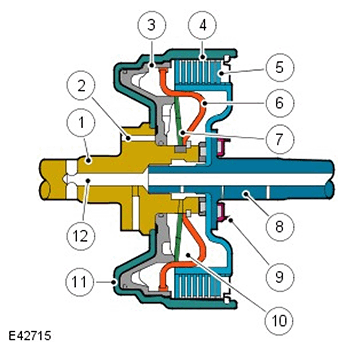 G11588805