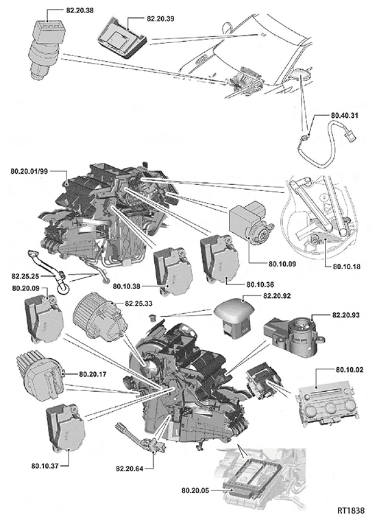 G11589417